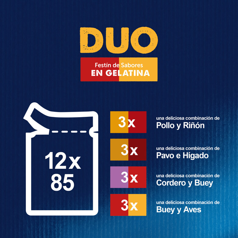Felix Fantastic Duo Carne em Gelatina saqueta – Multipack 12, , large image number null